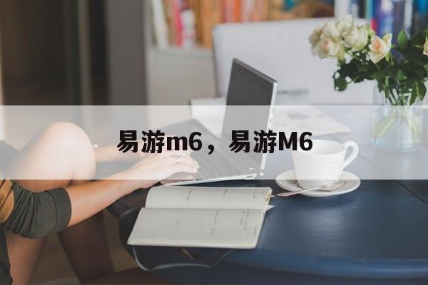 易游m6，易游M6